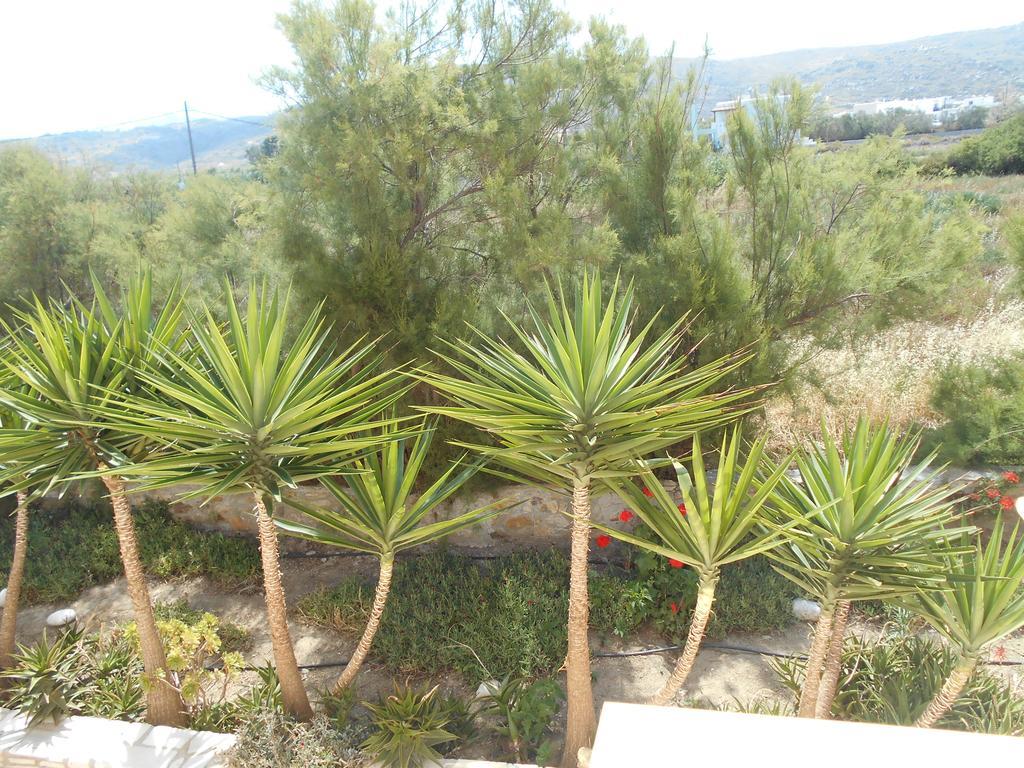 Acti Plaka Hotel Pláka Exterior foto